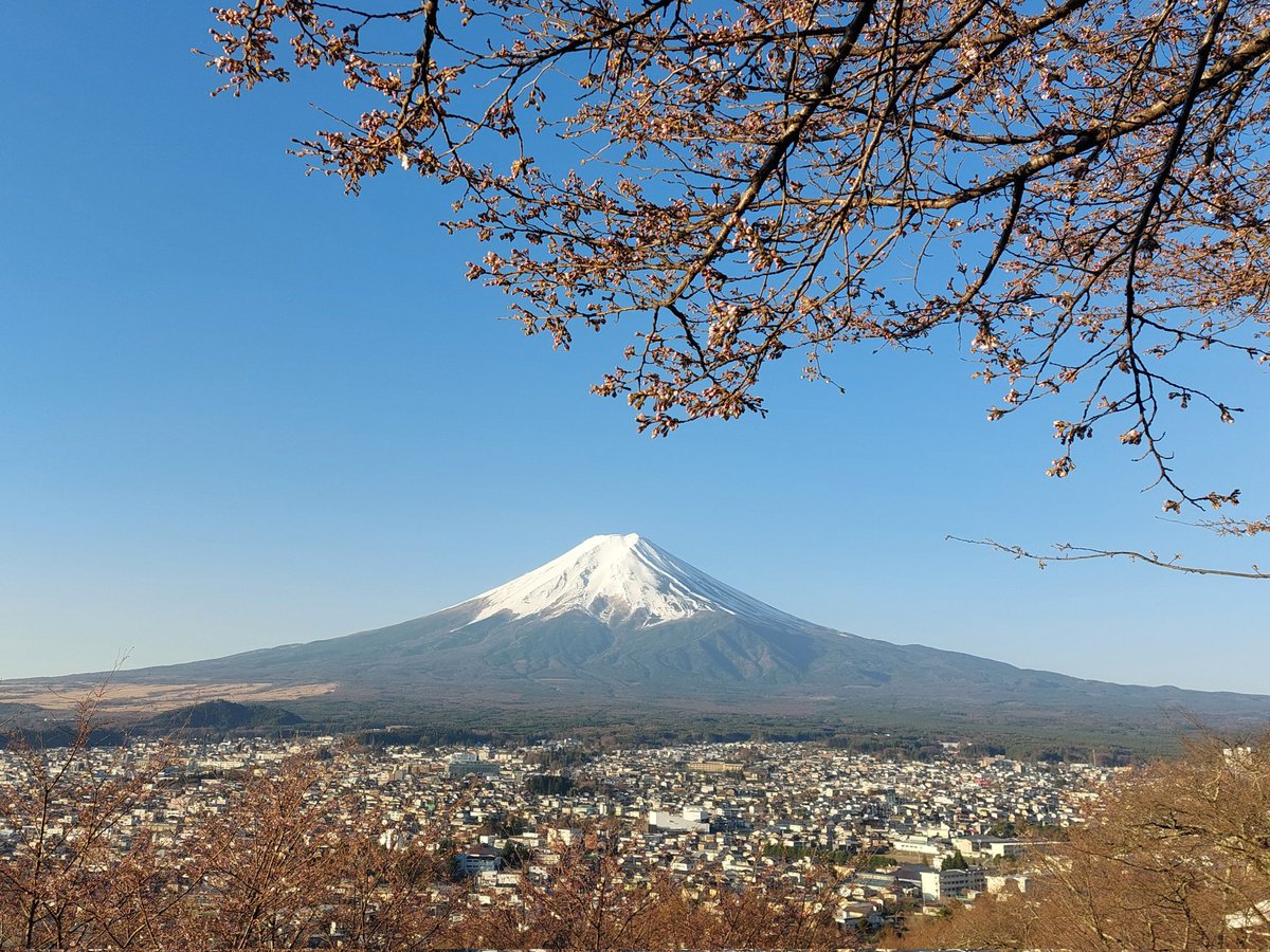 ぴょぽーん tweet media