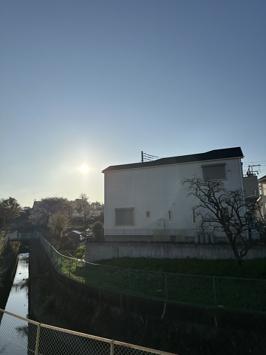 くまごろう tweet media