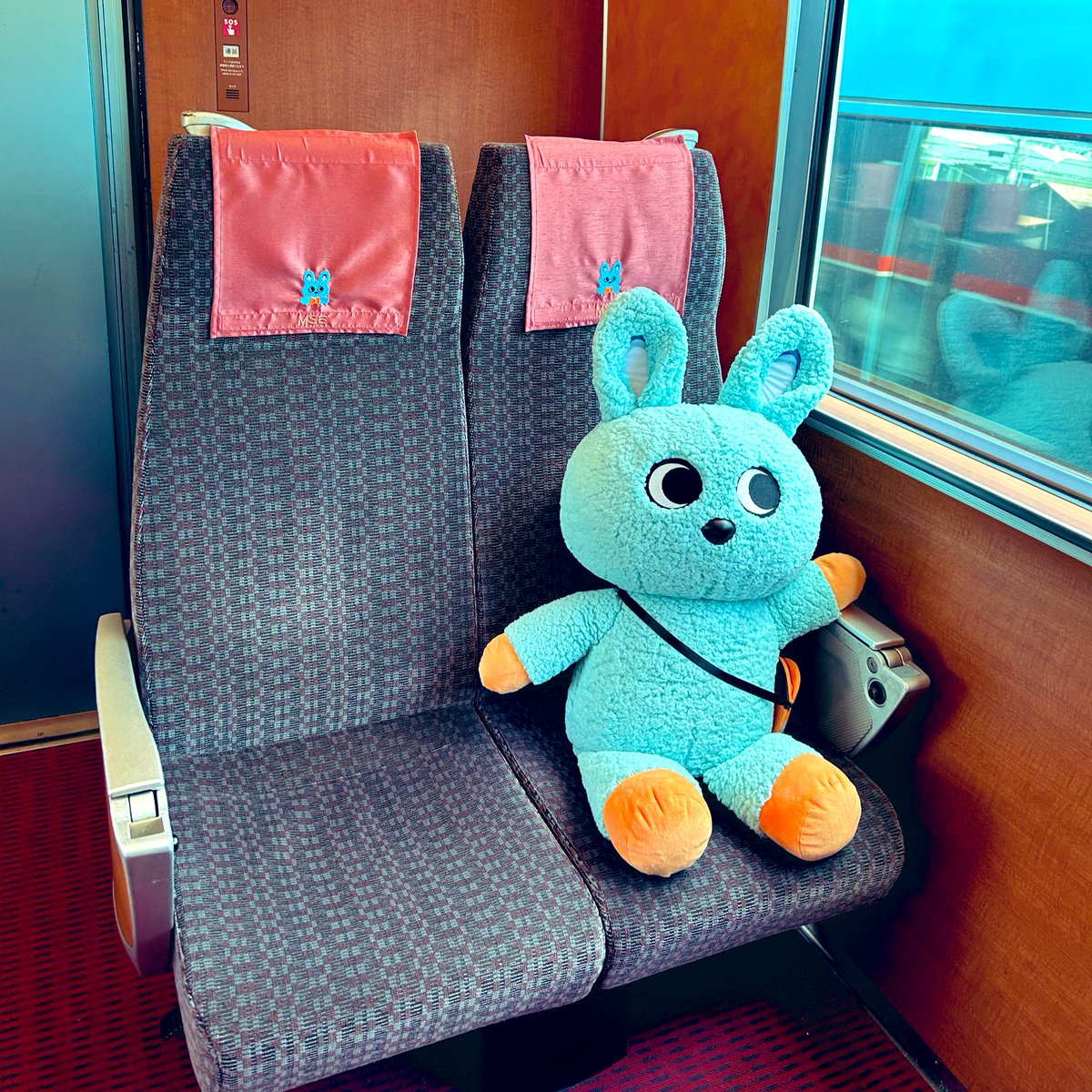 はろえび|海老名好き🍤🍓 tweet media