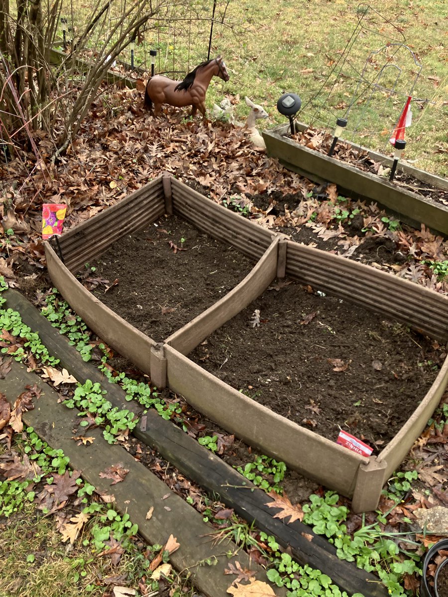 Jim Cunningham tweet media