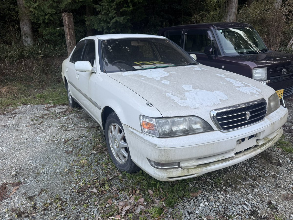 Purplekush🤪 tweet media