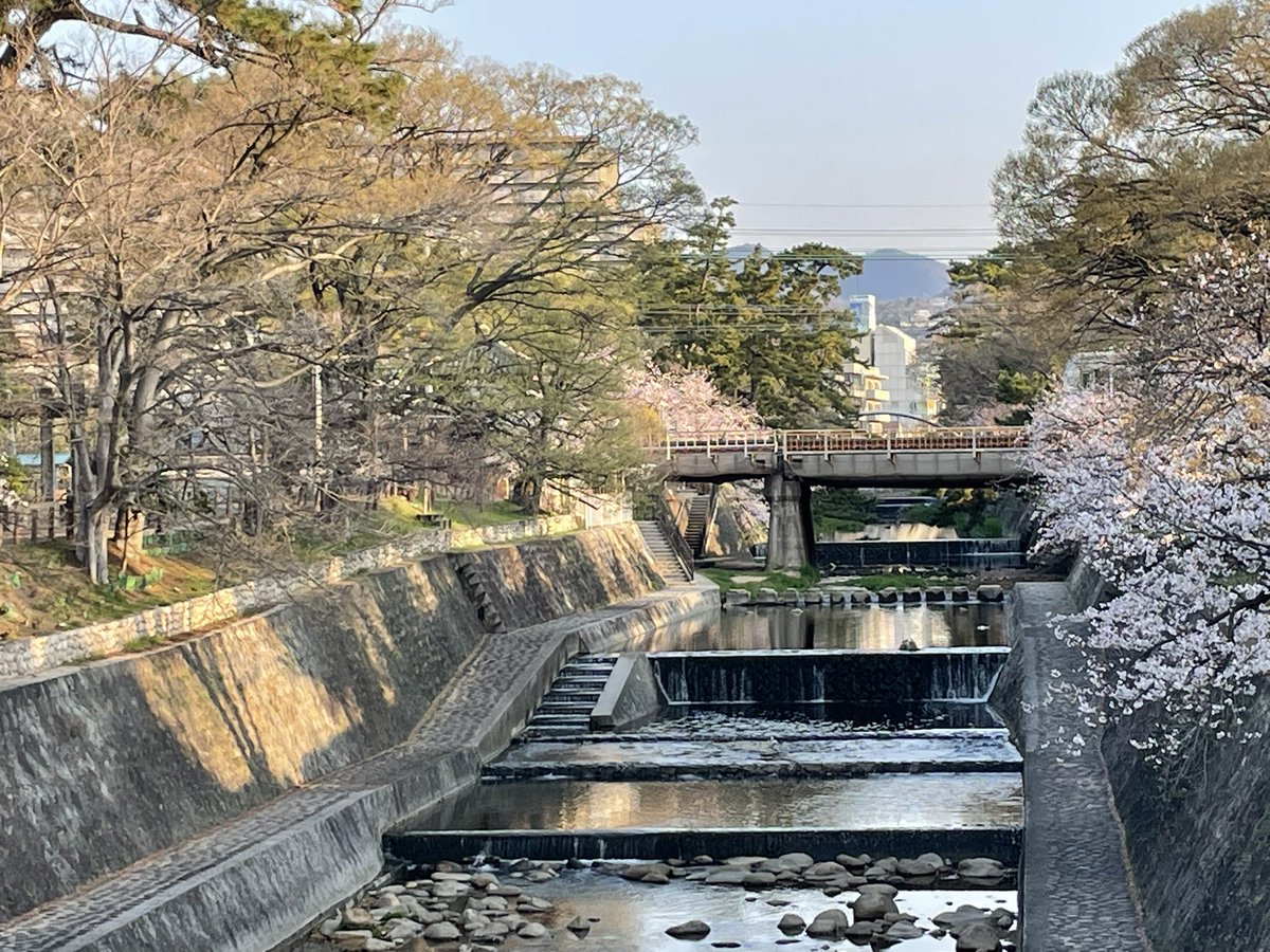 voyager（esper） tweet media