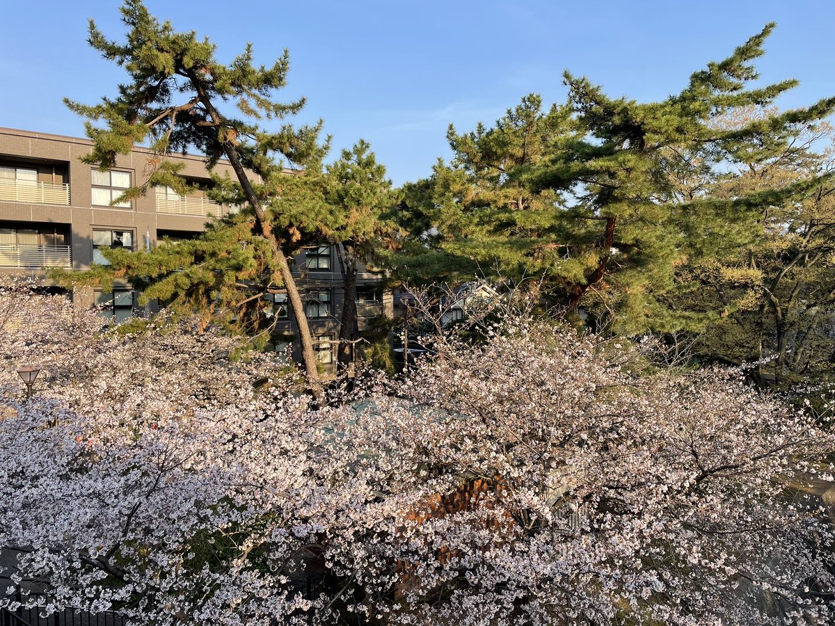 voyager（esper） tweet media