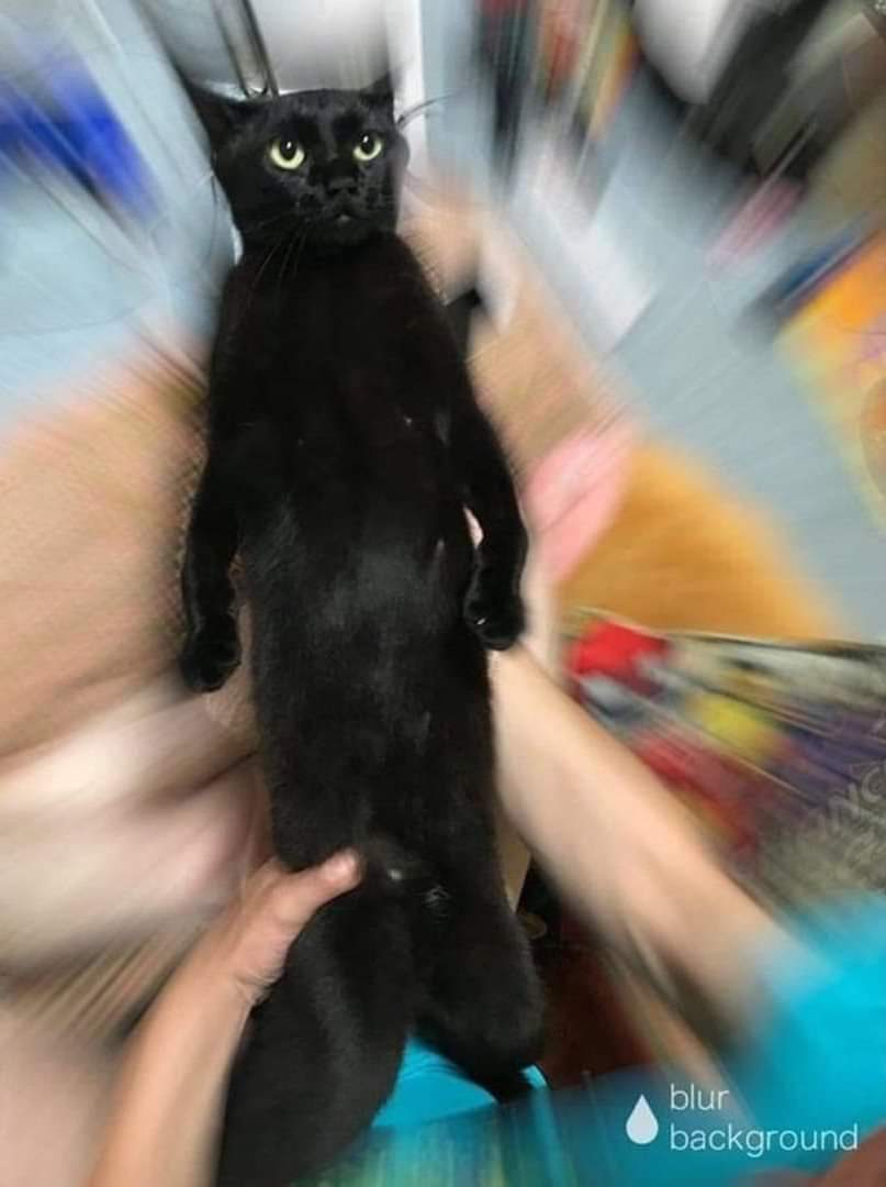 김_체샤🐔 tweet media