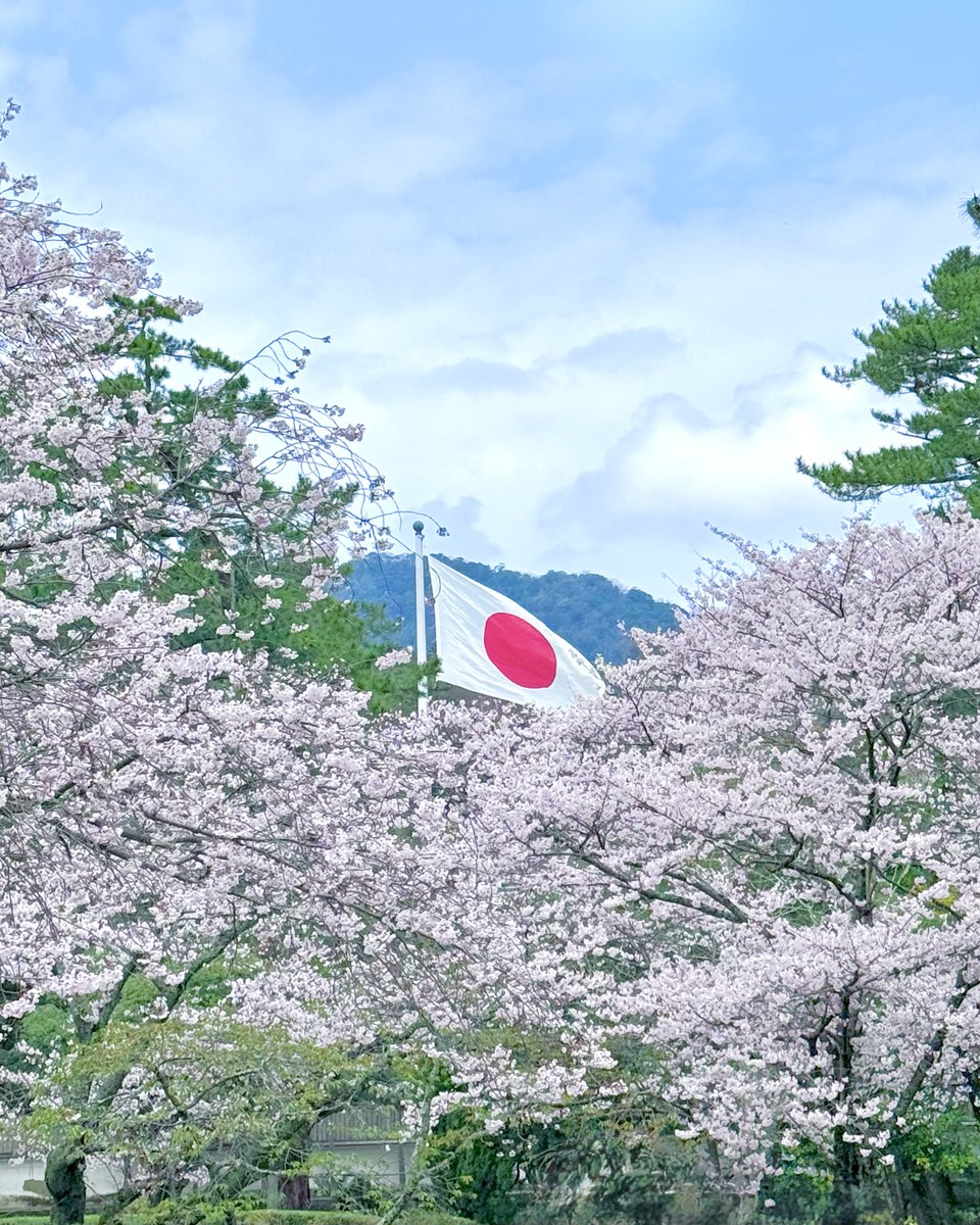 空気。。 tweet media