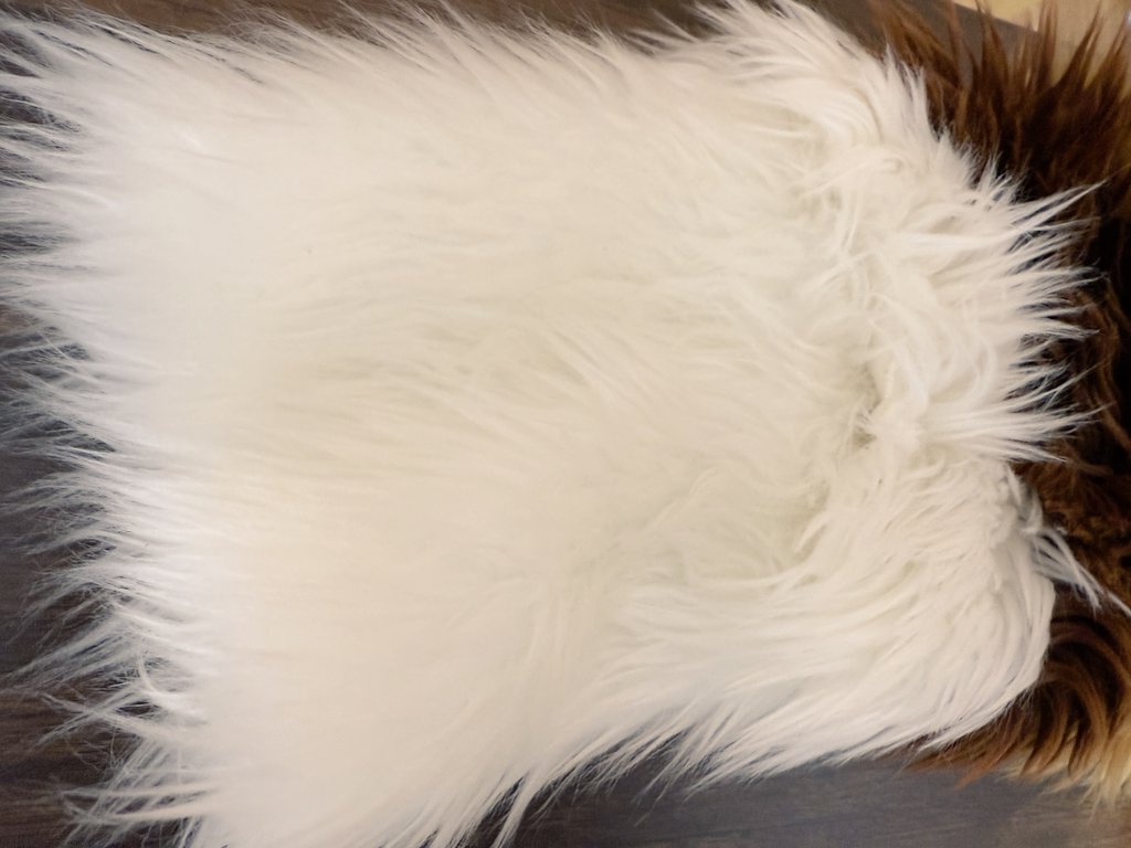 こけ/KOKE→Furst Class、京けも tweet media