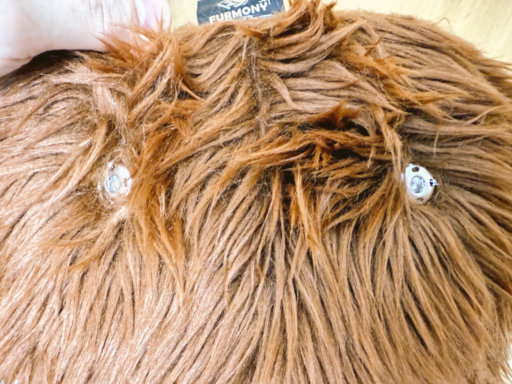 こけ/KOKE→Furst Class、京けも tweet media