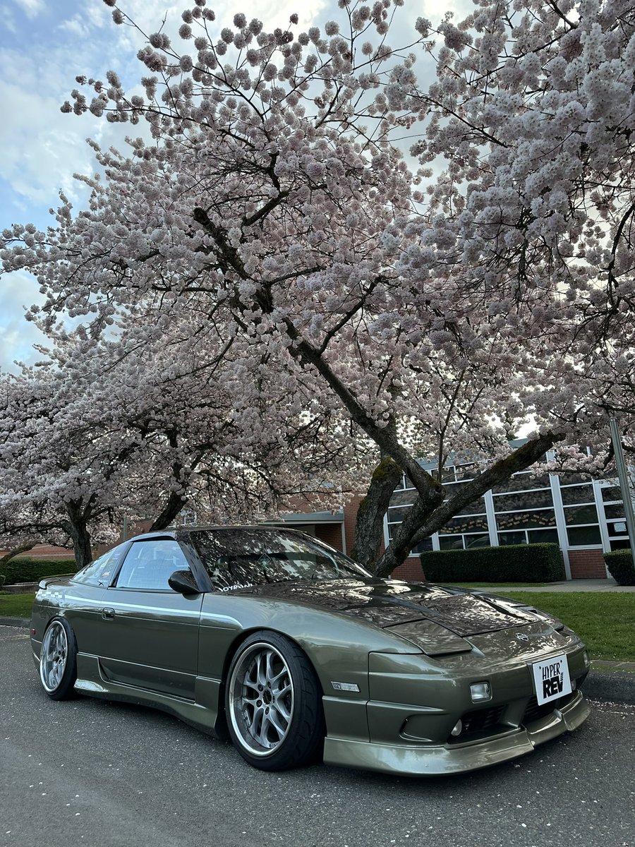 Zack Williams tweet media