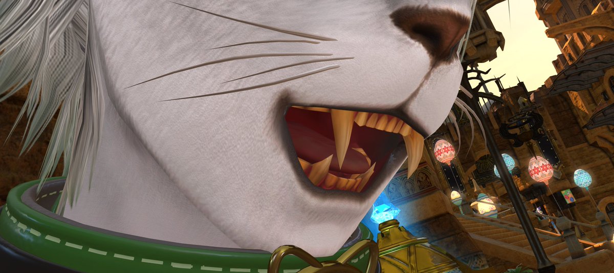 Saika Qual tweet media