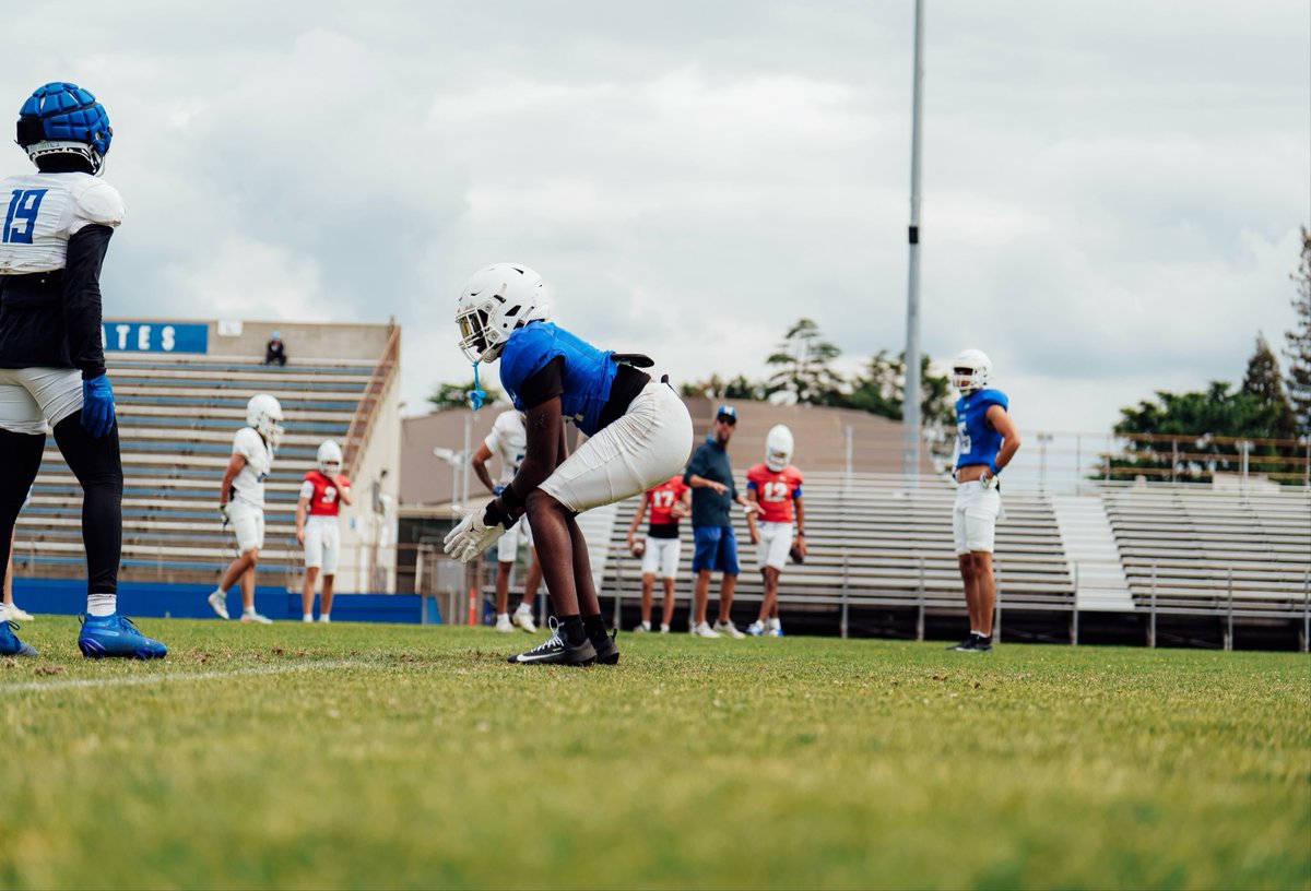 Jaymes Evans tweet media