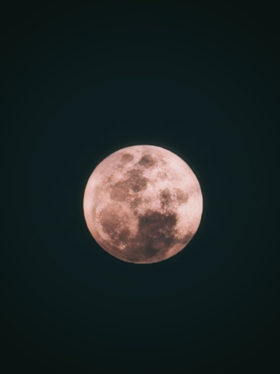 Avi 🌙 tweet media