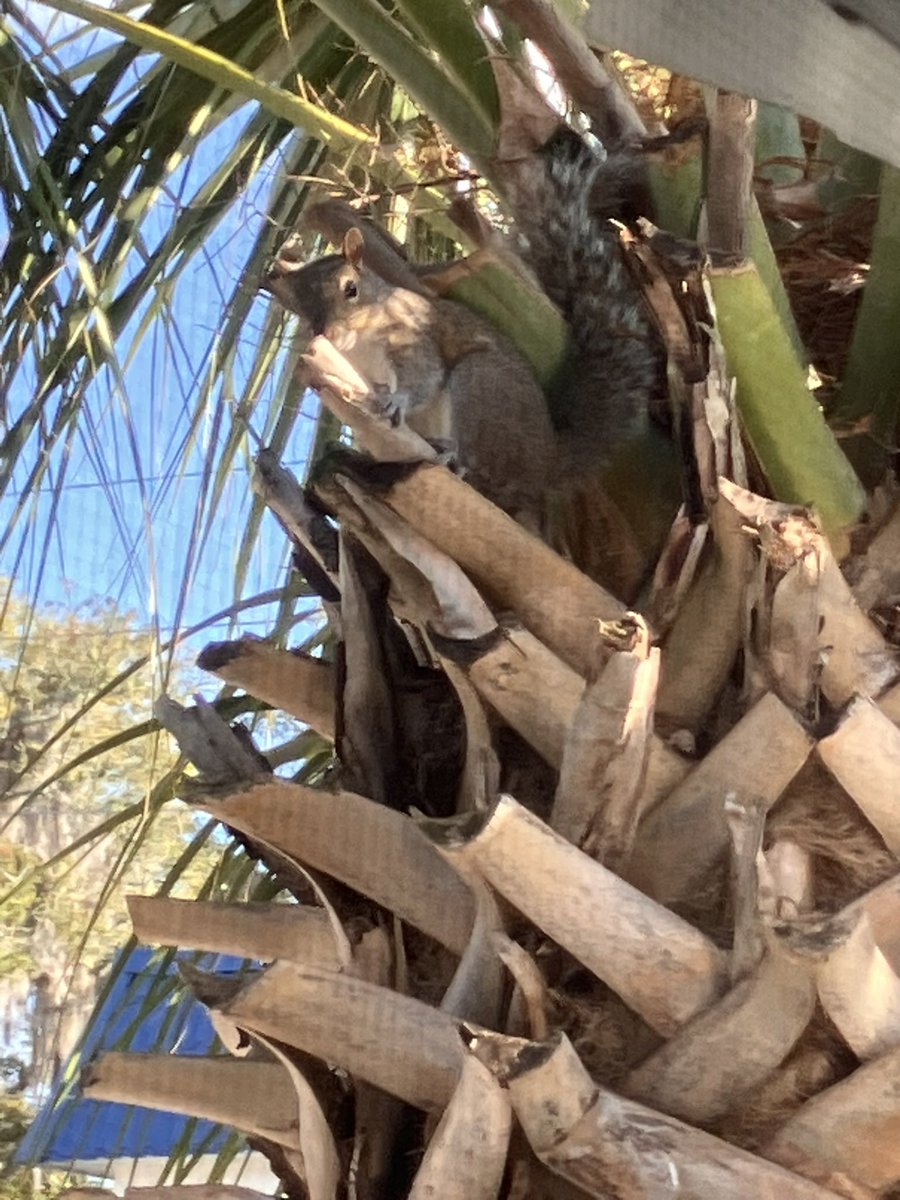 A_Username (Light Bending Arc ) tweet media