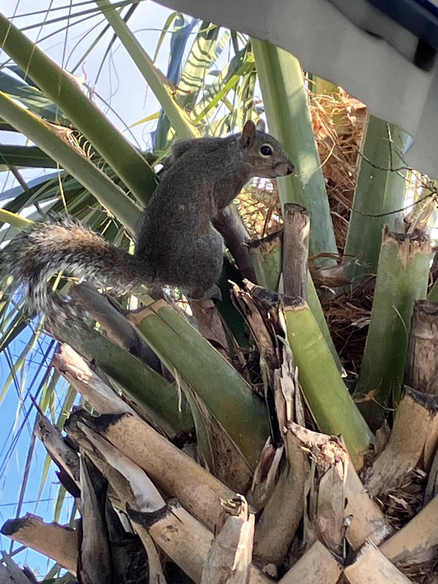 A_Username (Light Bending Arc ) tweet media