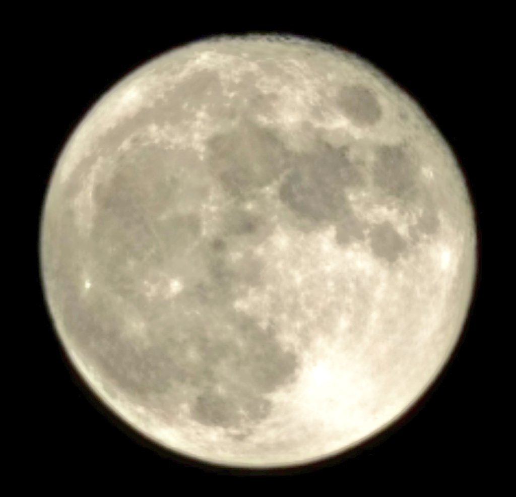 なぉぴぐ坂46🐻🍓@ベリーぎゅップ♨️ tweet media