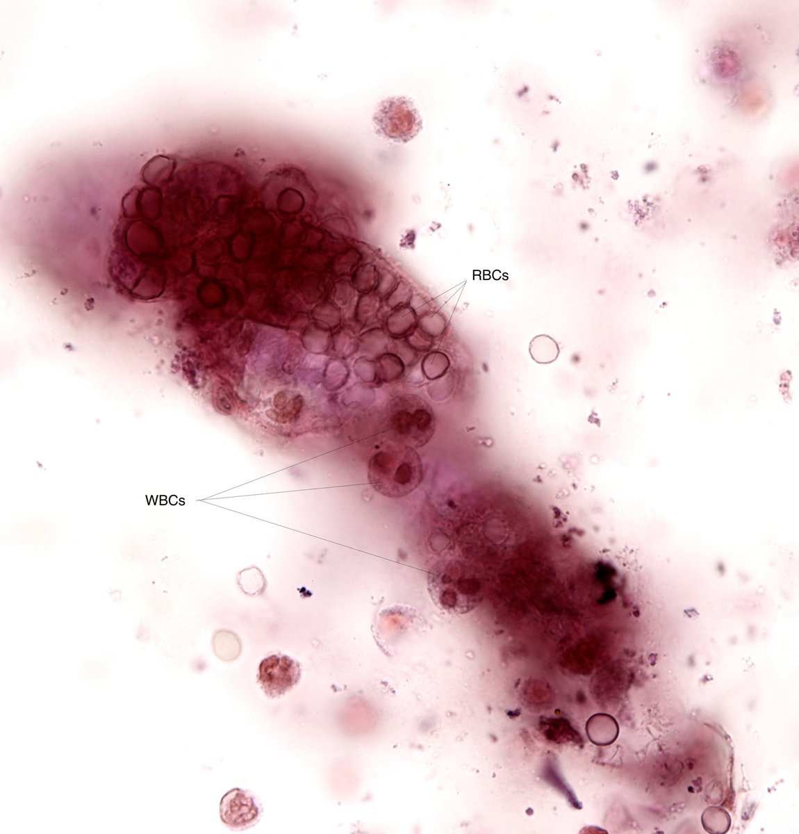 Jay R. Seltzer tweet media