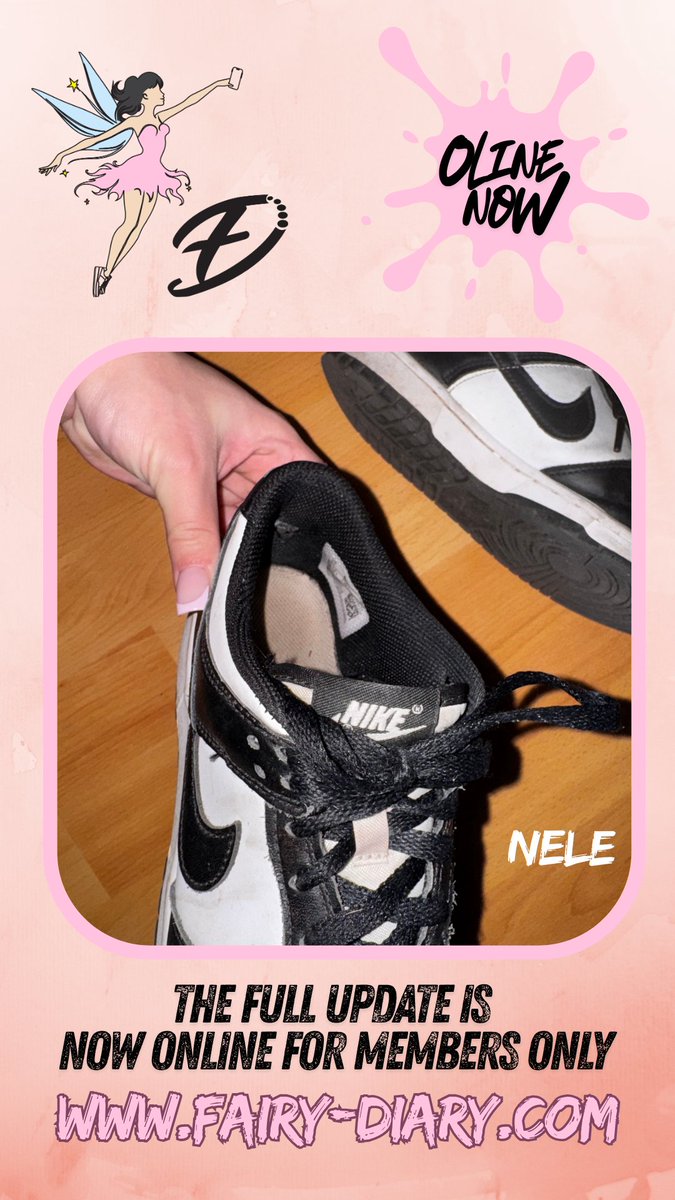 fairy-diary tweet media