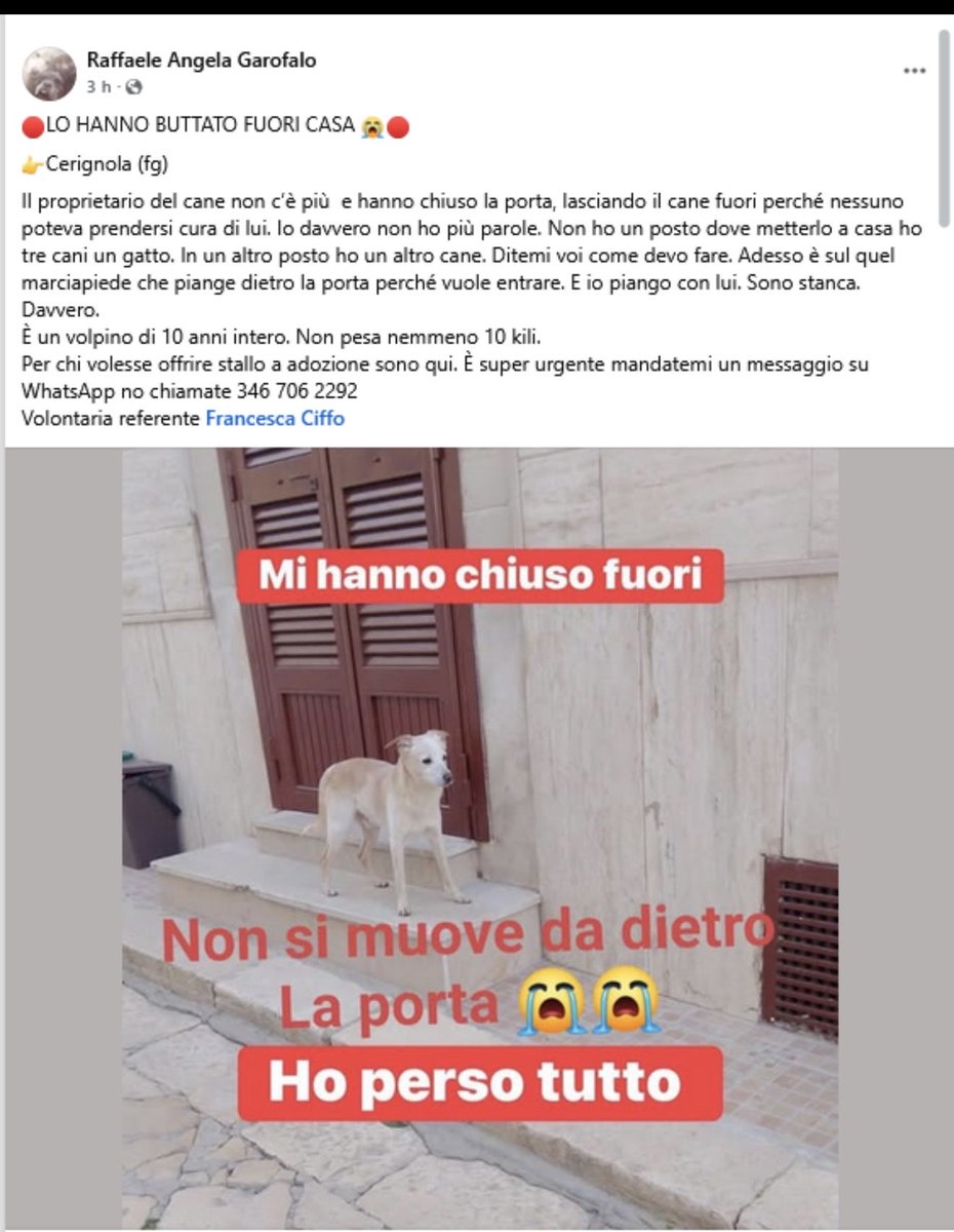 Elisabetta Poletti tweet media