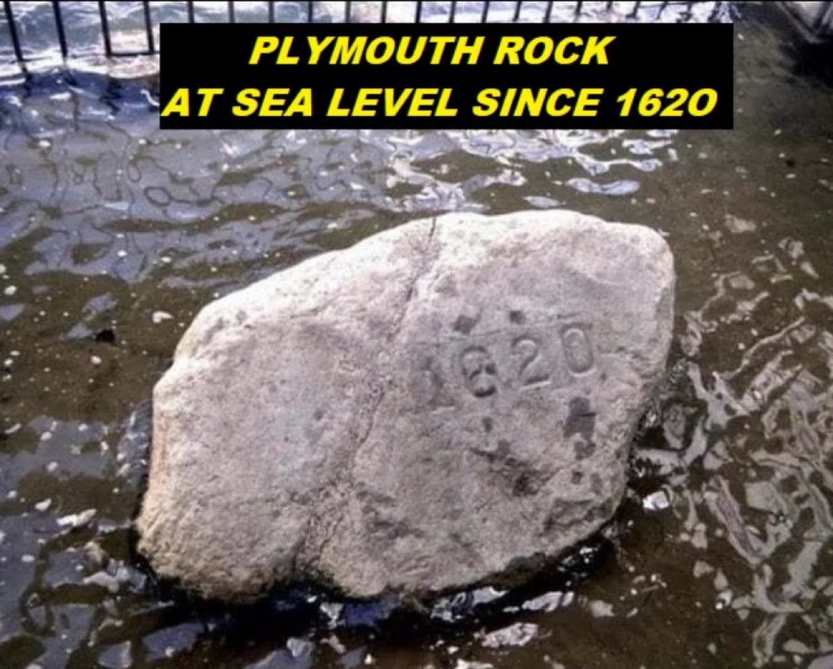 DonnyJWon tweet media