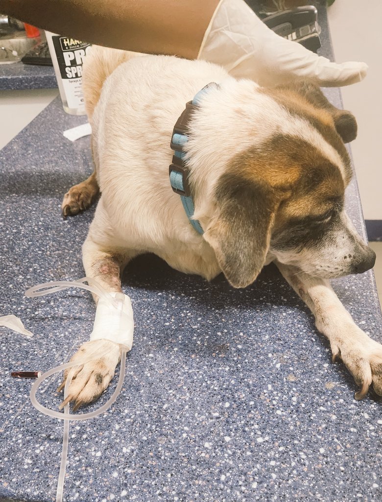 DKAstrology 🇭🇺🇯🇲🙏✨ tweet media