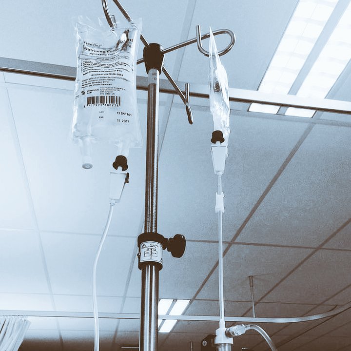 モルモット tweet media