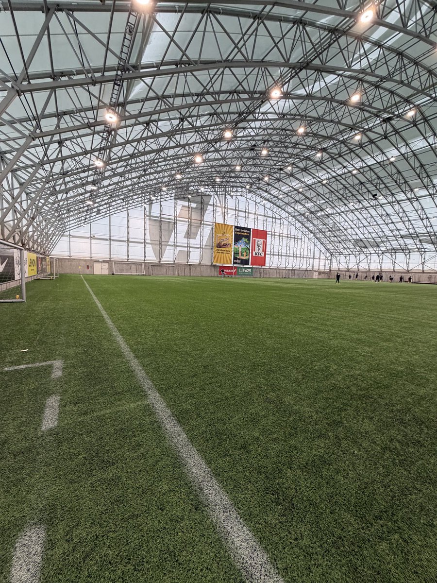 Arnar Chicharito tweet media