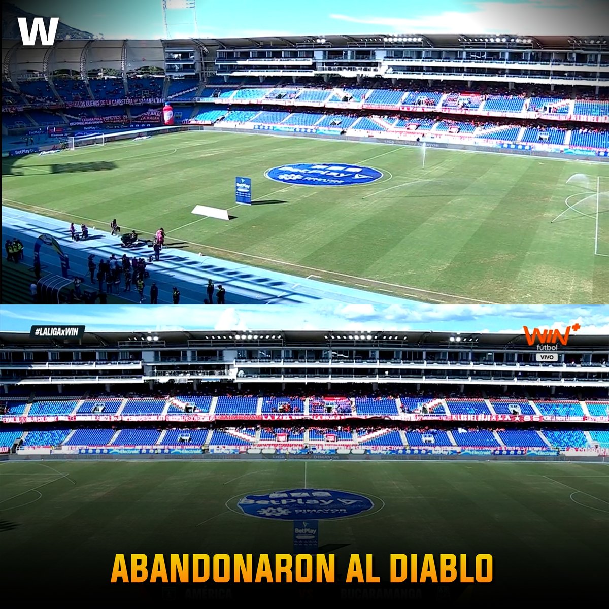 Win Sporn+ tweet media