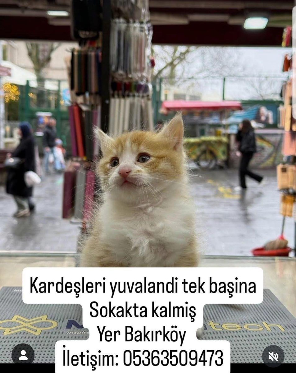 Yuva İstanbul Bakırköy!