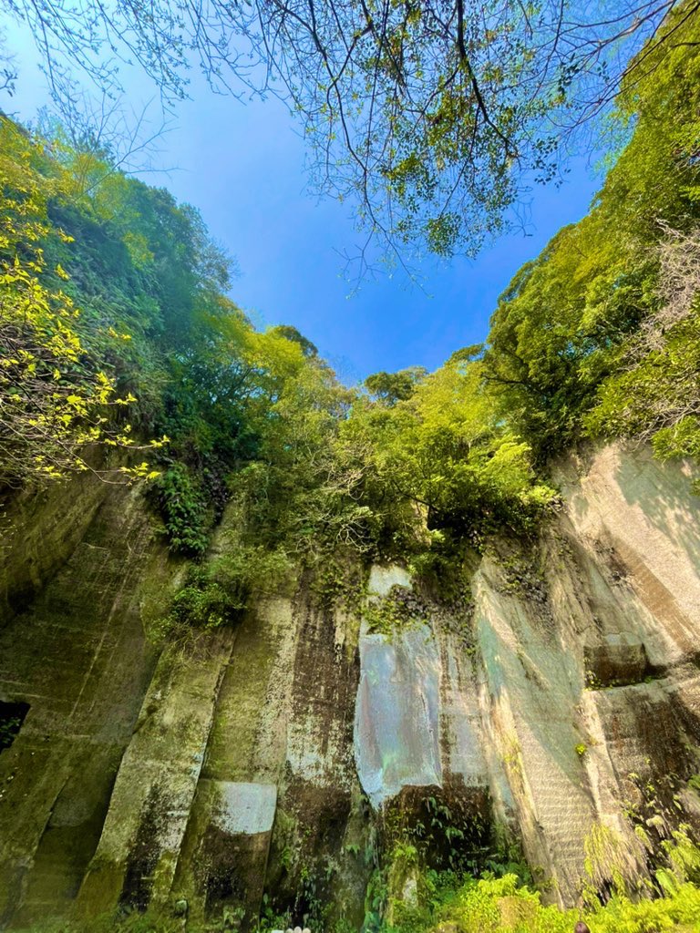 たべっこ tweet media