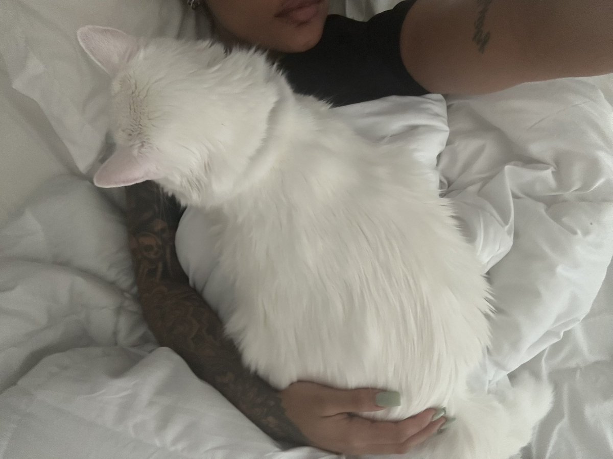 I Ƨ I Ƨ tweet media