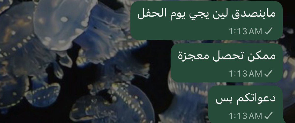 زَهر tweet media