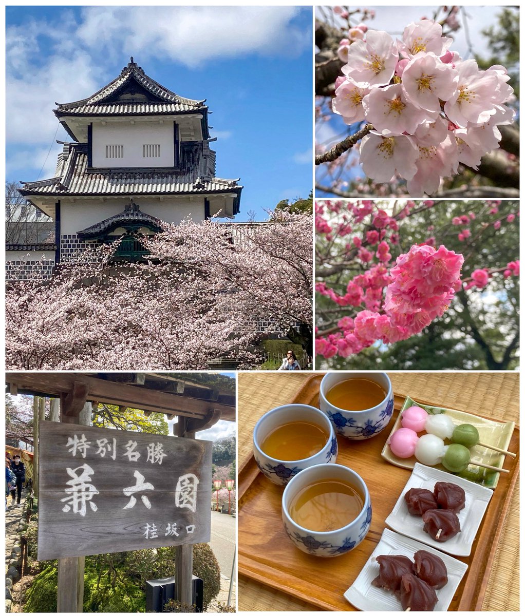 ใฟใปใใ tweet media