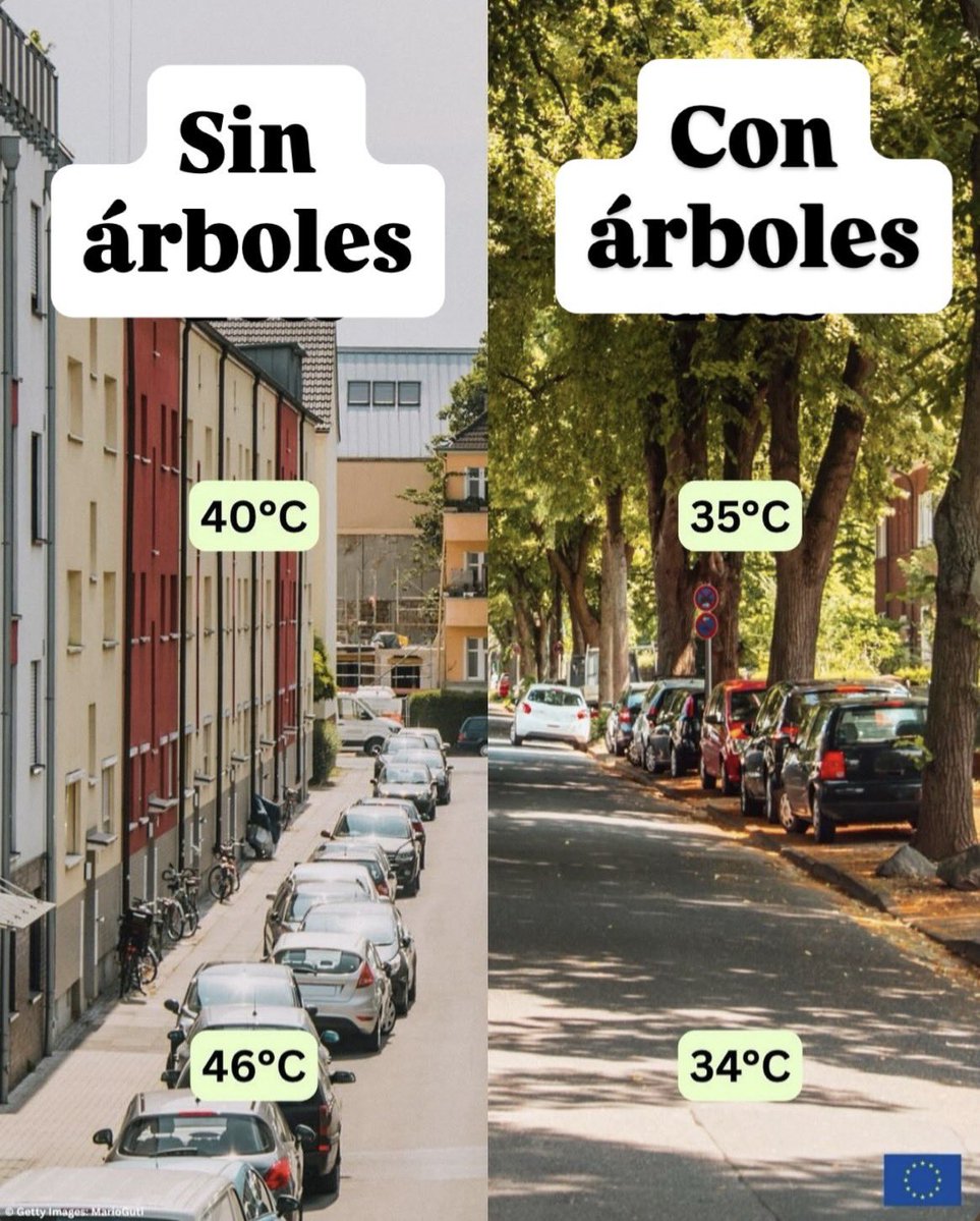 Reportandocdmx👀 tweet media