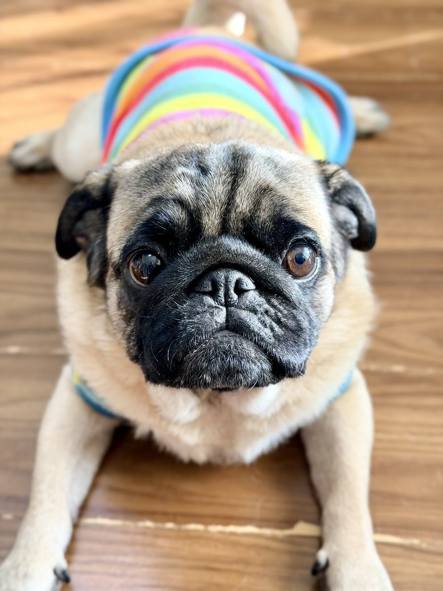 Toshio Murouchi (インドア) tweet media