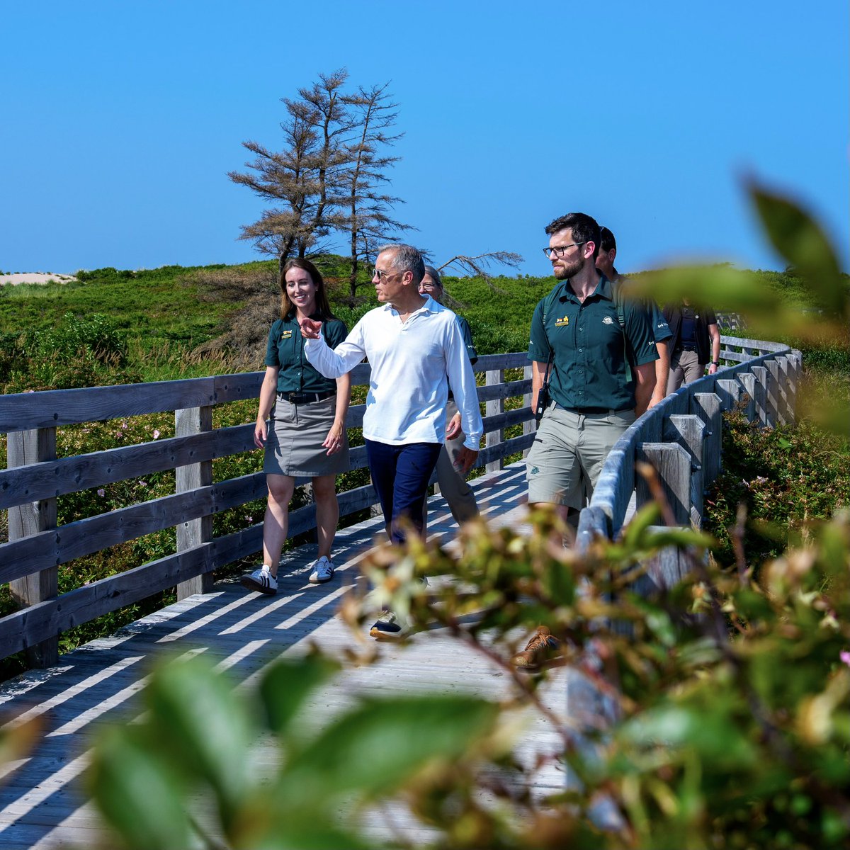 Mark Carney tweet media