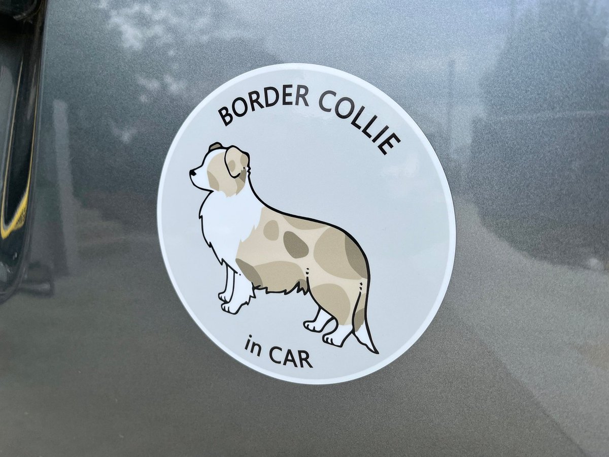 くまごろう tweet media