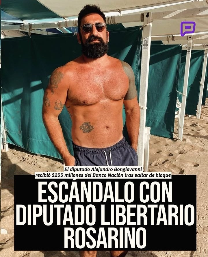 The Kiwi Show tweet media