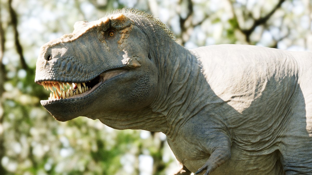 Rudo🧤🗑️(Ferrus) tweet media