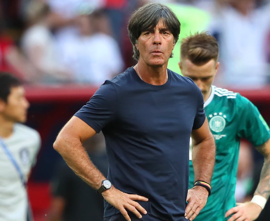 Berneese tweet media