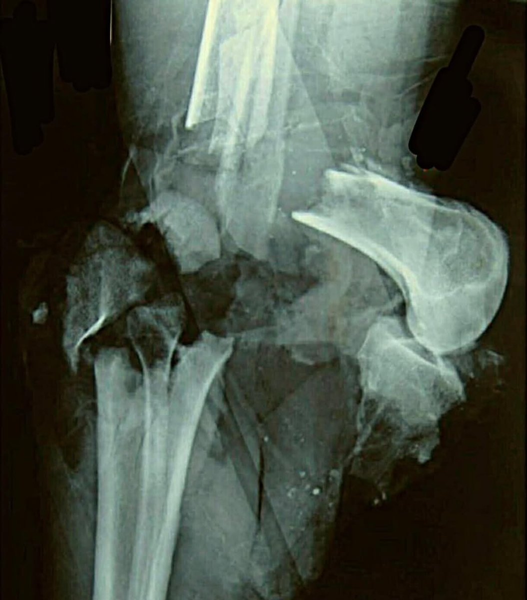 Rogue FitSurgeon tweet media