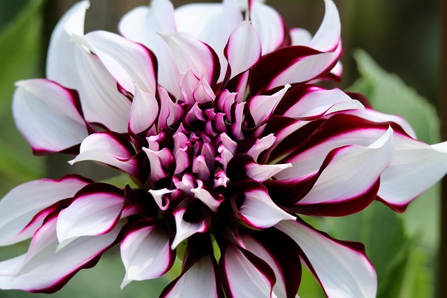 Sabrina Miller tweet media