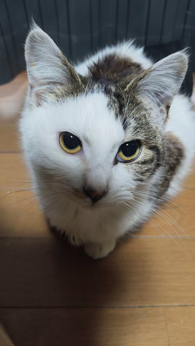 0801🐦😎🫰 tweet media