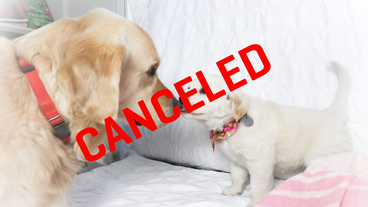 Bad Weather Brewing tweet media