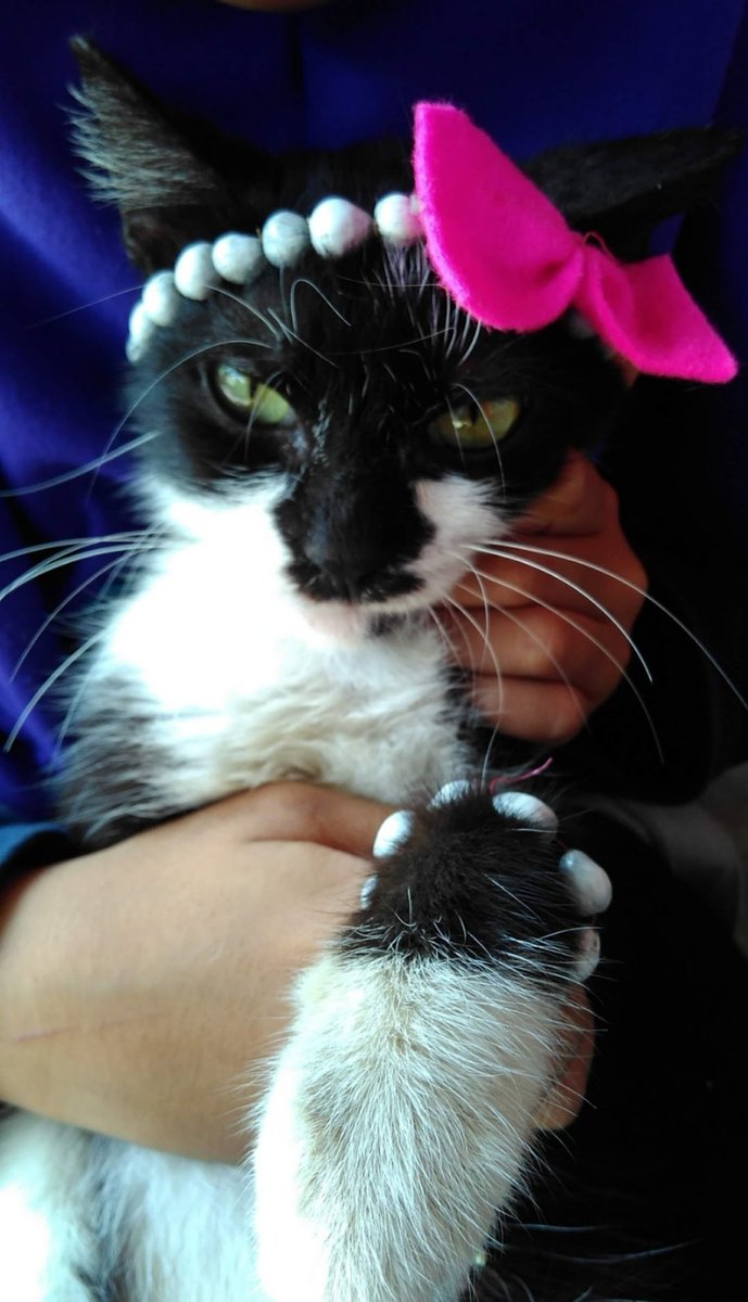 Ester || comms closed tweet media