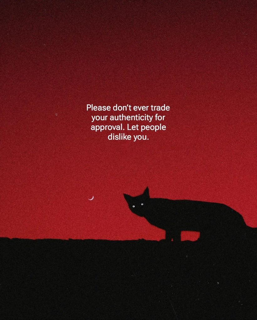 Shamz Tabrizi tweet media