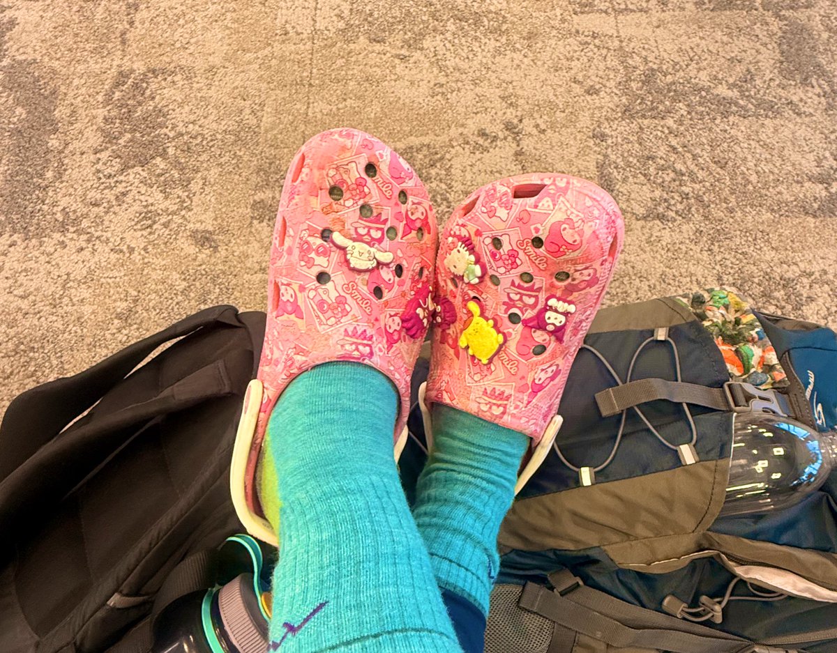 Cat in the Hat tweet media