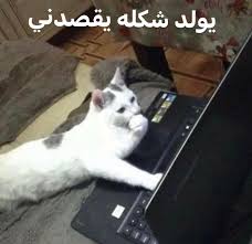 cece🌻☀️ tweet media