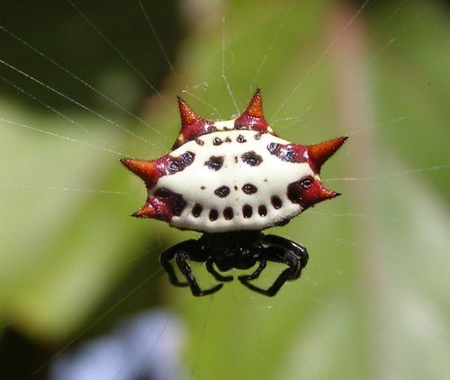 hawa ï๑ tweet media