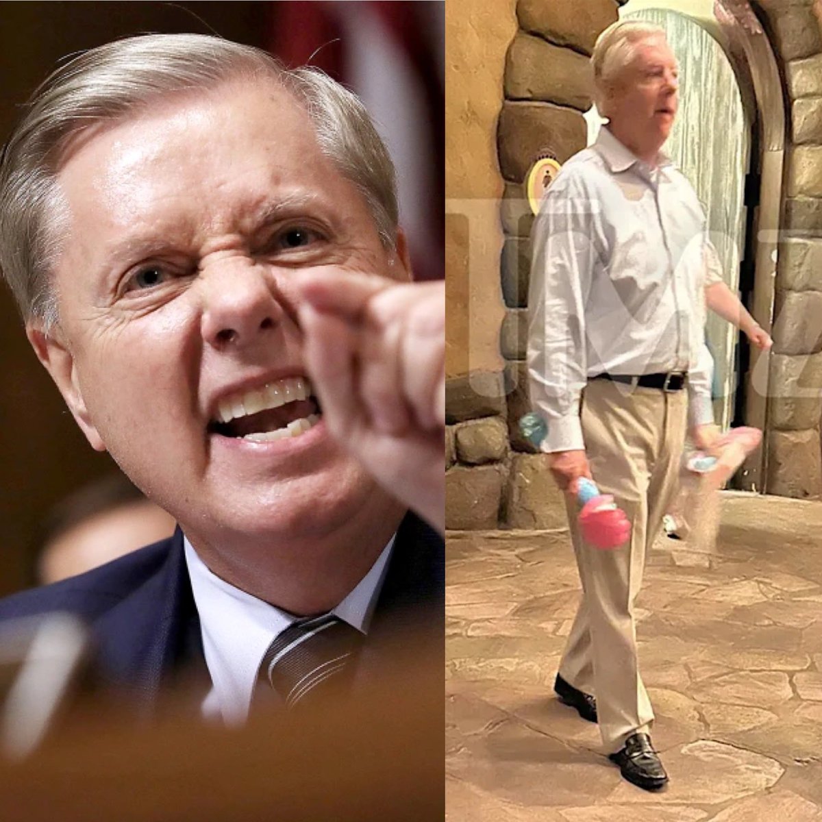 Occupy Democrats tweet media