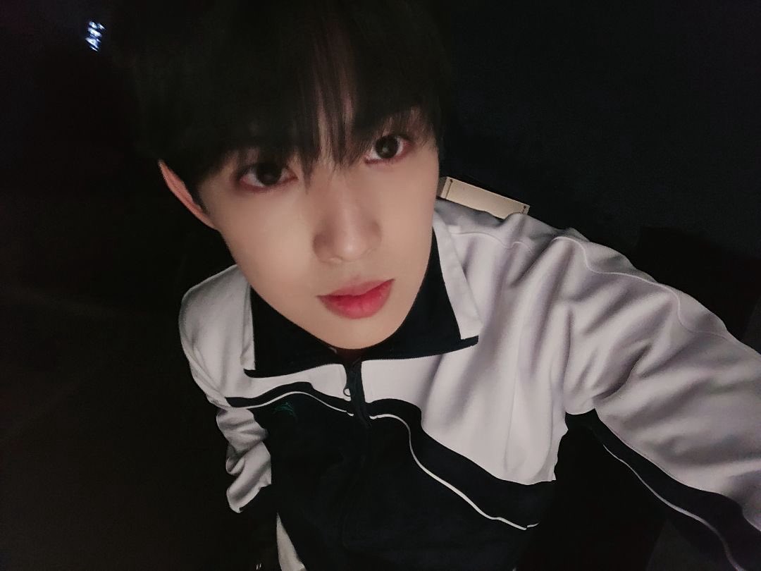 꿈에서라도 보고싶다 tweet media