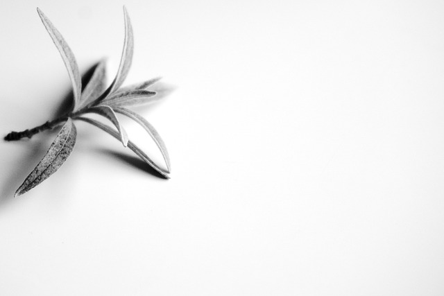 Sondra Connie tweet media